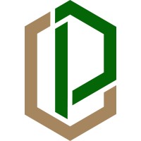 Consulting Pros logo - Similar company to Wayon I.T Solutions