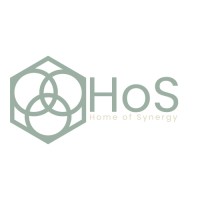 Home of Synergy logo - Similar company to Tps B.V.