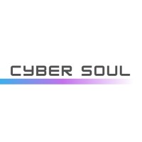 Cyber Soul logo - Similar company to Media Project Group