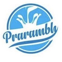 PLIME AGRO INDUSTRIES LIMITED logo - Similar company to Mlr Group