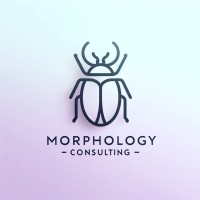 Morphology Consulting logo - Similar company to Morphology Consulting