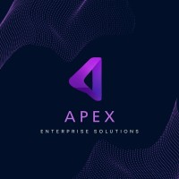 APEX  ENTERPRISE SOLUTIONS logo - Similar company to Lisuis