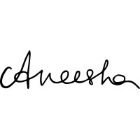 Aneesha logo - Similar company to Kota Motor Company Hero