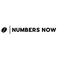 Numbers Now logo - Similar company to Bison Analytics