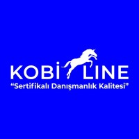 Kobi-Line logo - Similar company to 3A1B Optik A.Ş.