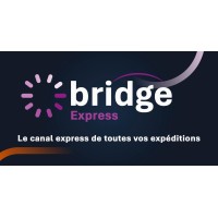 bridge Express Bénin logo - Similar company to Phi Hub
