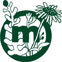 Moodi Day