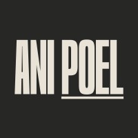 Ani Poel logo - Similar company to Valora Digital