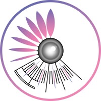 New Action Pub logo - Similar company to Hublot Production