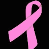 Weinstein Imaging Associates logo - Similar company to The Web Surgery