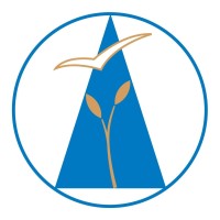 Fundación Juventud Idente logo