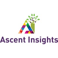 Ascent Insights logo - Similar company to Niss Analytics