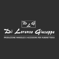 DLG Di Lorenzo Giuseppe & C. SNC logo - Similar company to C.R. Srl