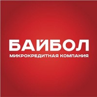 ООО МКК «Байбол» logo - Similar company to Фгбу 