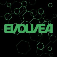 Evolvea Systems pty (ltd) logo - Similar company to 35Th Street Builders (3Sb)