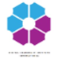 Digital Leadership Institute logo - Similar company to The Leadership Development Academy