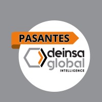 Deinsa Global Internship logo - Similar company to Adwise Corporate Advisory