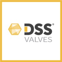 DSS Valves logo - Similar company to Nextway S.A. Valves & Automation