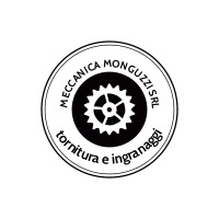 Meccanica Monguzzi Srl logo - Similar company to Meccanica Ceccarelli & Rossi Srl