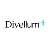Divellum Solutions Kft. logo - Similar company to Mile Kft