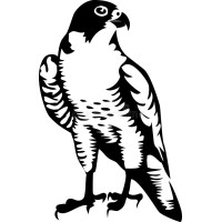 Peregrine Consulting Llc