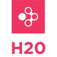 Stichting H20 logo - Similar company to Mediallround