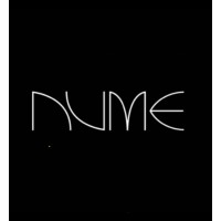 NUME logo - Similar company to Nume Media