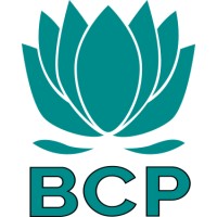 Bodhi Capital Partners