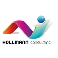Ai1 Hollmann Consulting logo - Similar company to Machine Thinking