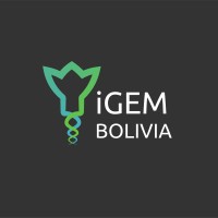 iGEM Bolivia logo - Similar company to Women Techmakers Santa Cruz