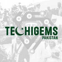 TechiGems Pakistan logo - Similar company to Maiji Tech