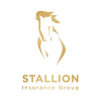 Stallion Insurance Group logo - Similar company to Aplars