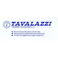 CESARE TAVALAZZI S.R.L. logo - Similar company to Linea Spray Srl
