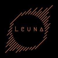 Leuna logo - Similar company to Immense Data & Analytics