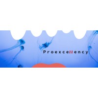 Proexcellency solutions pvt ltd logo - Similar company to Techmunus