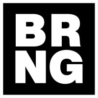BRNG Bag logo - Similar company to Space Age Snacks