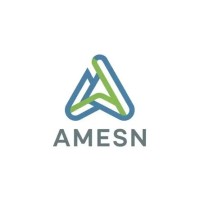 Amesn.com logo - Similar company to Scaleout Partners