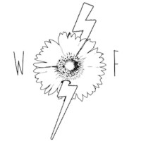 Wildflower Long Island