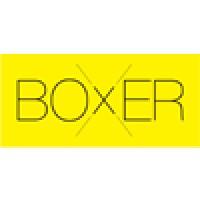 Boxer Design&Strategy