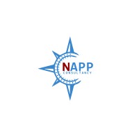 NAPP Consultancy logo - Similar company to Pairing
