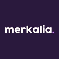 Merkalia logo - Similar company to Dss - Desarrollo Y Soluciones De Software