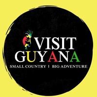 Visit Guyana logo - Similar company to Route Eleven