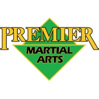 4SV Martial Arts (PMA franchisee) logo - Similar company to Impact Martial Arts