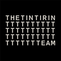 THE TINTIRIN TEAM logo - Similar company to Welink
