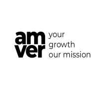 AM VERSION logo - Similar company to Skyresoft Pvt Ltd
