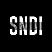 SNDI - DIAGNÓSTICO POR IMAGEM logo - Similar company to Centric Saúde