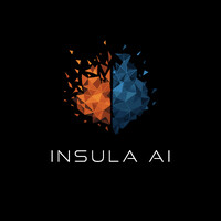 Insula AI logo - Similar company to Betshield Responsible Gaming
