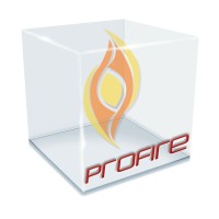 Profire Safety Services