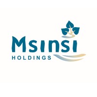 Msinsi Holdings SOC logo - Similar company to Labourcorp