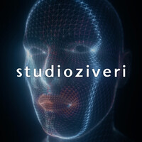STUDIO ZIVERI SRL logo - Similar company to Taggun